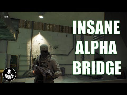 INSANE 9K FIREARMS ALPHA BRIDGE | Division 1.8.3