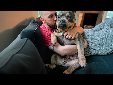 Nobody Wanted This Deaf Dog — Until My Husband Held Him Once