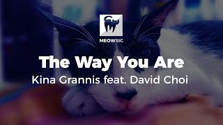 The Way You Are - Kina Grannis feat. David Choi (Lyrics)