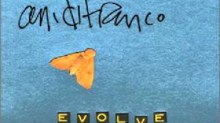 Ani DiFranco - Evolve.wmv
