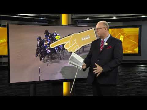 Whale Watch - NZ Derby - Addington tonight