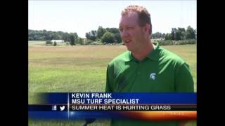 WILX TV 10-PKG Grass-News Intern