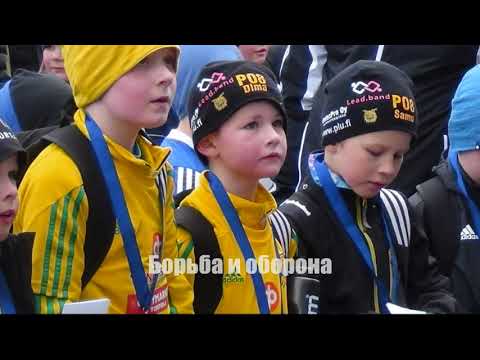 [D] F9 summer, Ilves P08 Värit