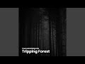 Tripping Forest