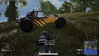 1億年ぶりのPUBG