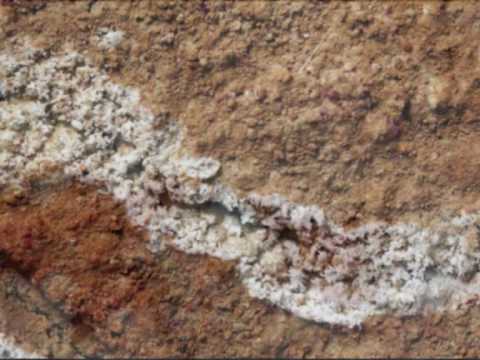 Lorenz Maierhofer, KYRIE from the "MISSA HARMONIA MUNDI" (Part No 2)