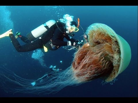 World's most amazing photos | Part 2