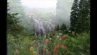 Mount Rainier National Park