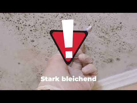 TOP 3 Methoden um Schimmel von der Wand zu entfernen!