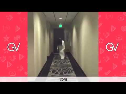 Top Vines of DAN Nampaikid Vine