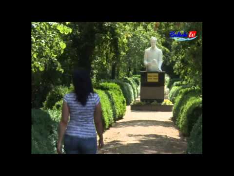 Hoinar in Vest - Macea