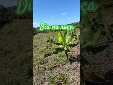 Dia na roça. Una Bahia