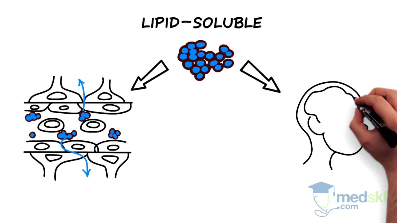 Pediatrics – Neonatal Jaundice: By Kristen Hallett M.D.