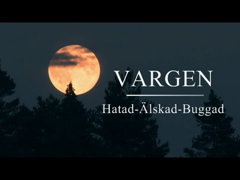 Vargen – hatad, älskad, buggad (2009) | Dokumentär