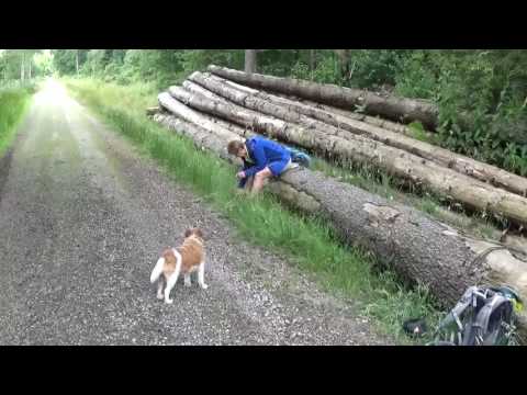 Bad Bederkesa nach Bremerhaven am 26-06-2016