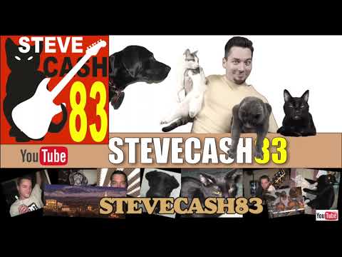 Talking Kitty Cat 69   Sylvester Goes To Court