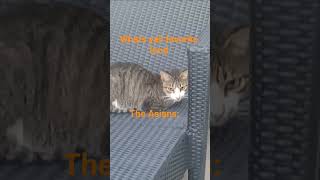 Those who know ☠️ #gameplay #contentcreator #contentcreator #funny #esports #gaming #youtubevideos