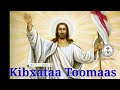 Torbee Du'aa ka'uu Kibxataa Toomaas Lallaba Afaan Oromoo Kutaa 106 #subscribe #share