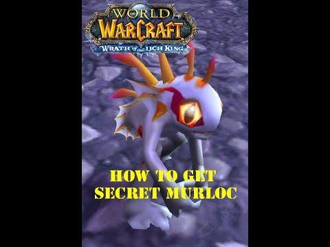 Easy Guide : How to Get Secret murloc pet " Terky "