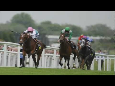 EXCELEBRATION PROFILE