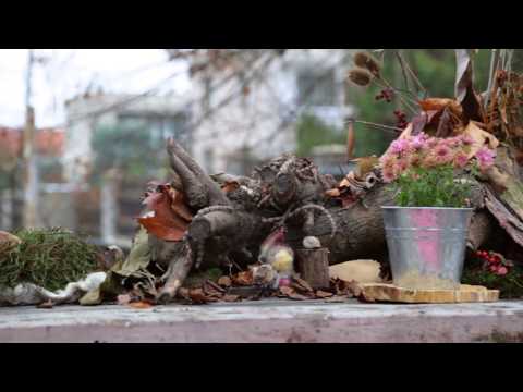 Komunitní zahrada při lesní MŠ