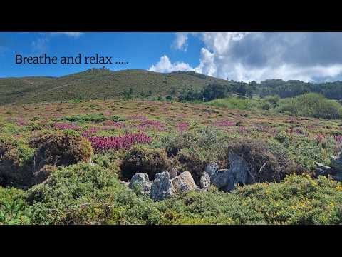 15 minutes of stillness and relaxation