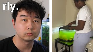 how to do a water change in 2025 | Fish Tank Review 306