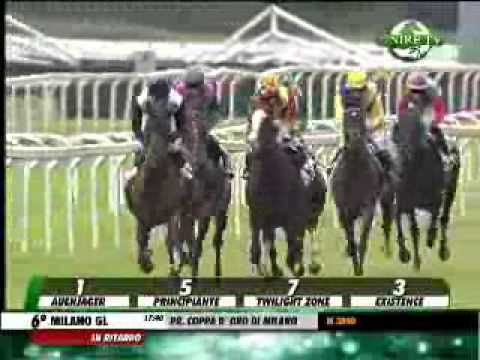 25/05/2014, Milano , Premio Coppa D'oro Di Milano