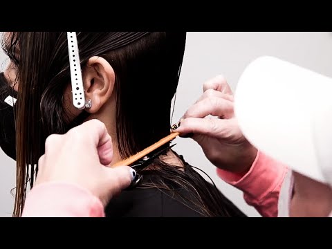 How To Cut a Blunt Bob Haircut | Step by Step