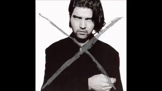 Mercy Killing - Lloyd Cole