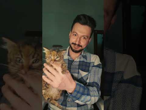 NE KALDI İNADINDAN 🥹KONUŞTUM ANLADIĞI DİLDEN ❤️#shorts