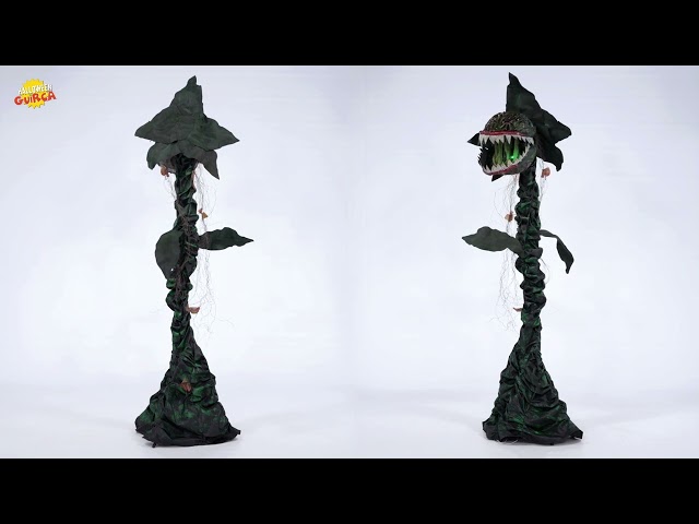 Köttätande växt video