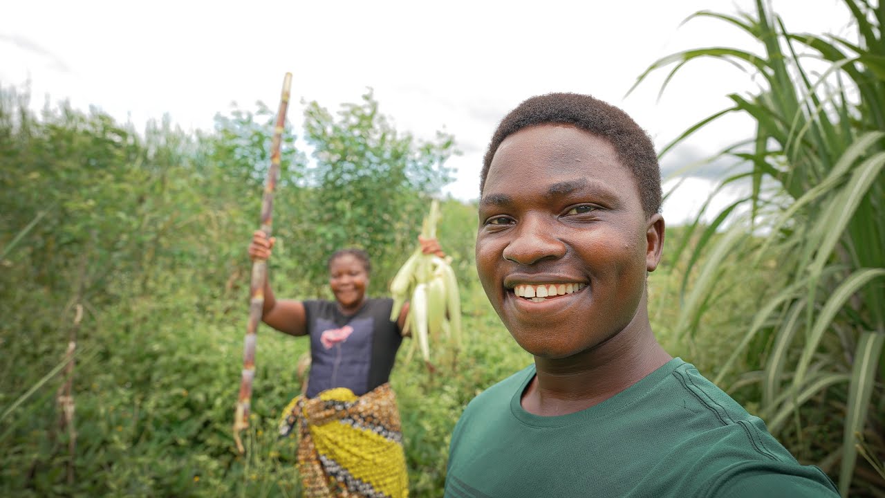 De Volta à Cidade: Visitei a Roça da Minha Irmã e Me Surpreendi!