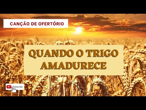 Quando o Trigo Amadurece – Ir. Maria do Carmo S. Ramos