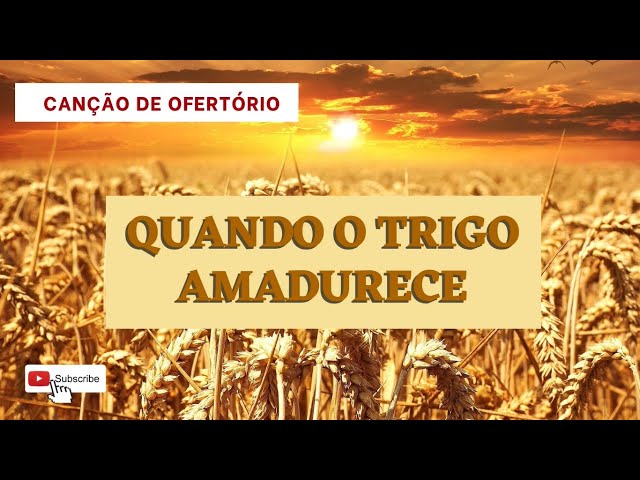 Preview do vídeo