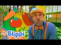 Blippi Learns Vegetables At Jumping Beans Indoor Playground Educational Videos For Kids