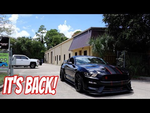 Whipple GT350R is Back! Mantic Twin Disk Clutch