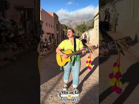 #folklore #musica #jujuy #purmamarca ✨🌵🫀✨