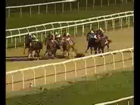 corse cavalli capannelle