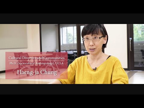 Introducing DISCOVERY Program for Global Learners at Okayama University(Based on faculty interviews)