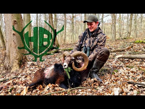 Kapitale Muffelwidder in Deutschland! - Hunter Brothers