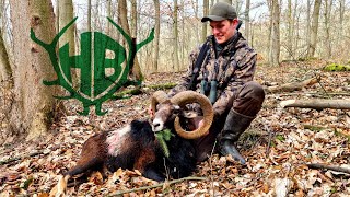 Kapitale Muffelwidder in Deutschland! - Hunter Brothers