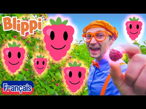 Blippi en français - Framboises | Vidéos éducatives pour les enfants