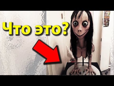 Знакомство с Момо. Никогда не звоните момо по WhatsApp!