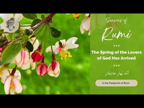Rumi - The Spring of the Lovers of God Has Arrived - (In Persian and English)