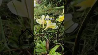 Download lagu Tujuan hidup setelah kamu mencintai mp3