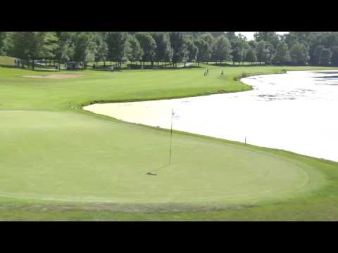 83rd Illinois State Amateur Championship: Tee-K Kelly, Champion