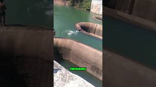 Download lagu Never swim near this hole. #shorts #youtubeshorts #viralshorts #facts mp3 Download lagu Never swim near this hole. #shorts #youtubeshorts #viralshorts #facts mp3