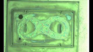 Mobile Microrobotics Challenge, ICRA 2013 UT Arlington, Figure 8, 1.338 sec completion time