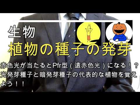近極域エコゾーン: 学名別の種子植物 (S)について詳しく解説